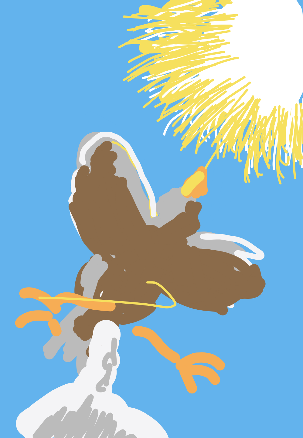 My Pigeon traversant la route