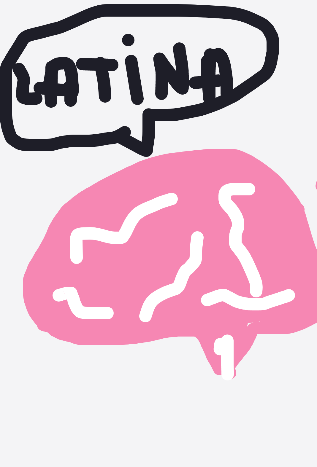 My Cerveau
